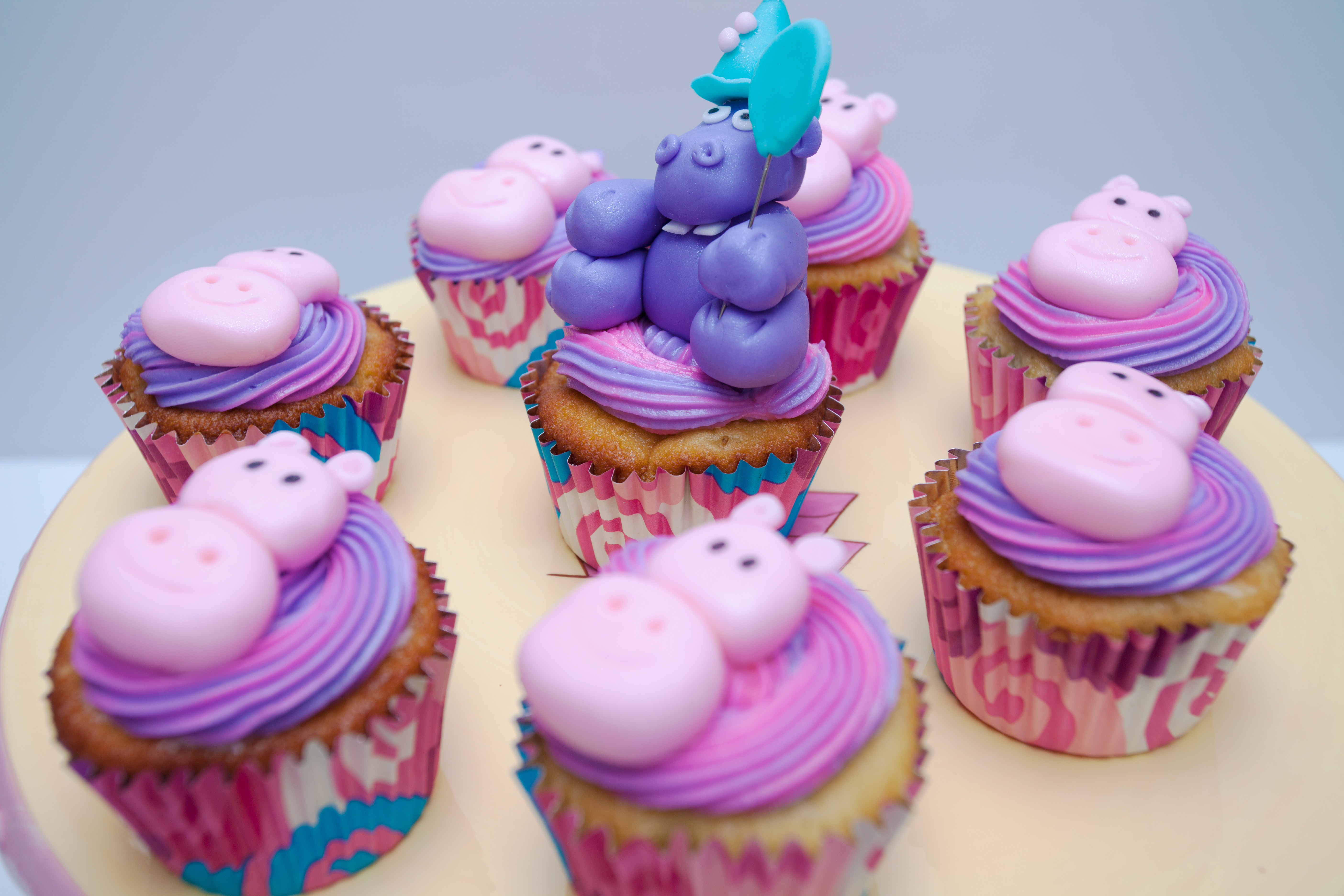 Birthday Cupcakes in NYC: Hippo Theme Decorated Cupcakes
